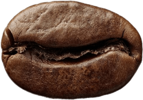 Food - Coffee - Coffee Bean Transparent Background (600x414), Png Download