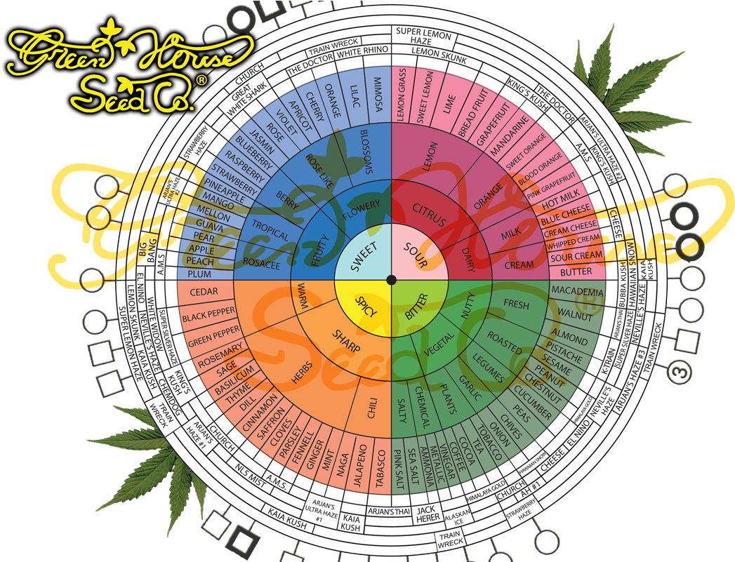 Buy A Mixed Bag - Weed Flavors Chart (1131x800), Png Download