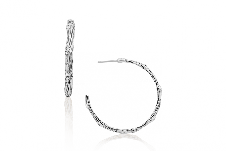 Vine Earhoops - Earrings (725x487), Png Download