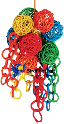 Happy Beaks Bird Toys - Paradise Toys Vibrant Cluster 6-inch W (400x400), Png Download