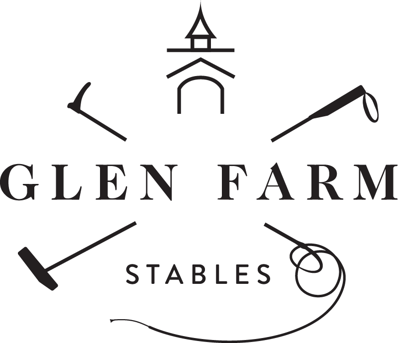 Image Result For Horse Polo Black And White Line Art - Calligraphy (800x690), Png Download