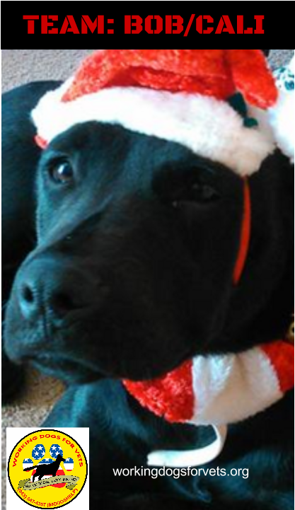 Team - Bob/cali - Labrador Retriever (960x720), Png Download