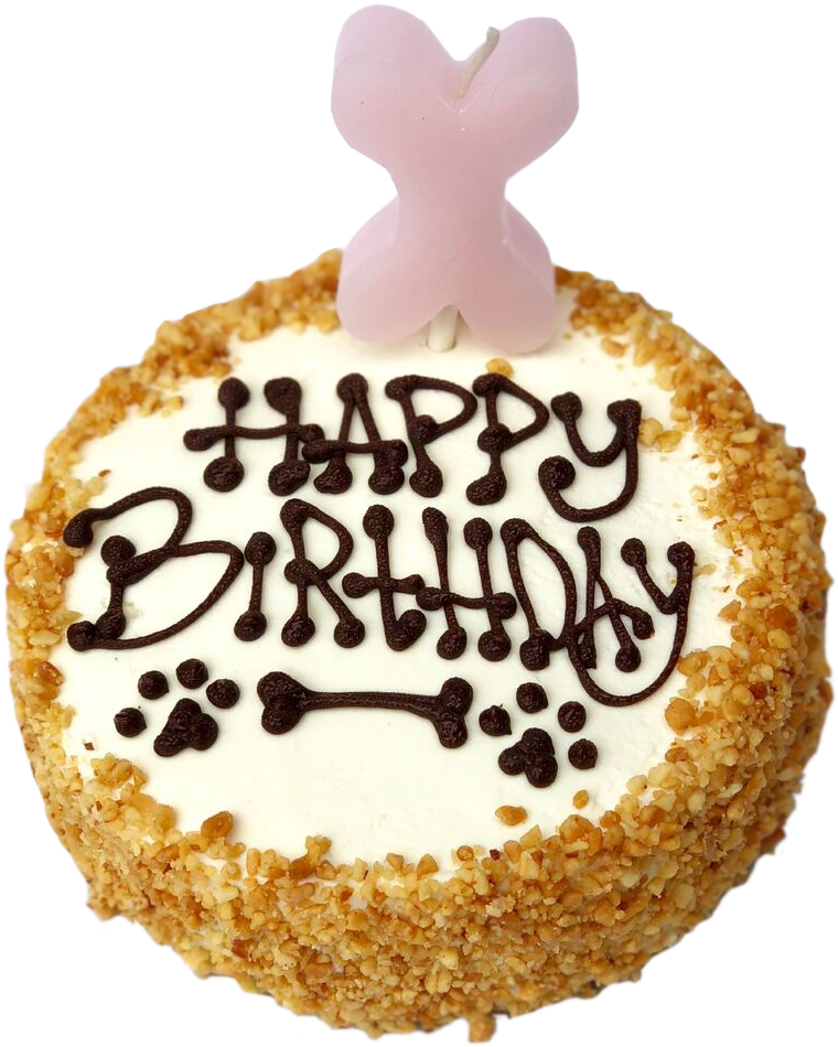 Birthday Candle On A Stick - Birthday Cake (960x960), Png Download