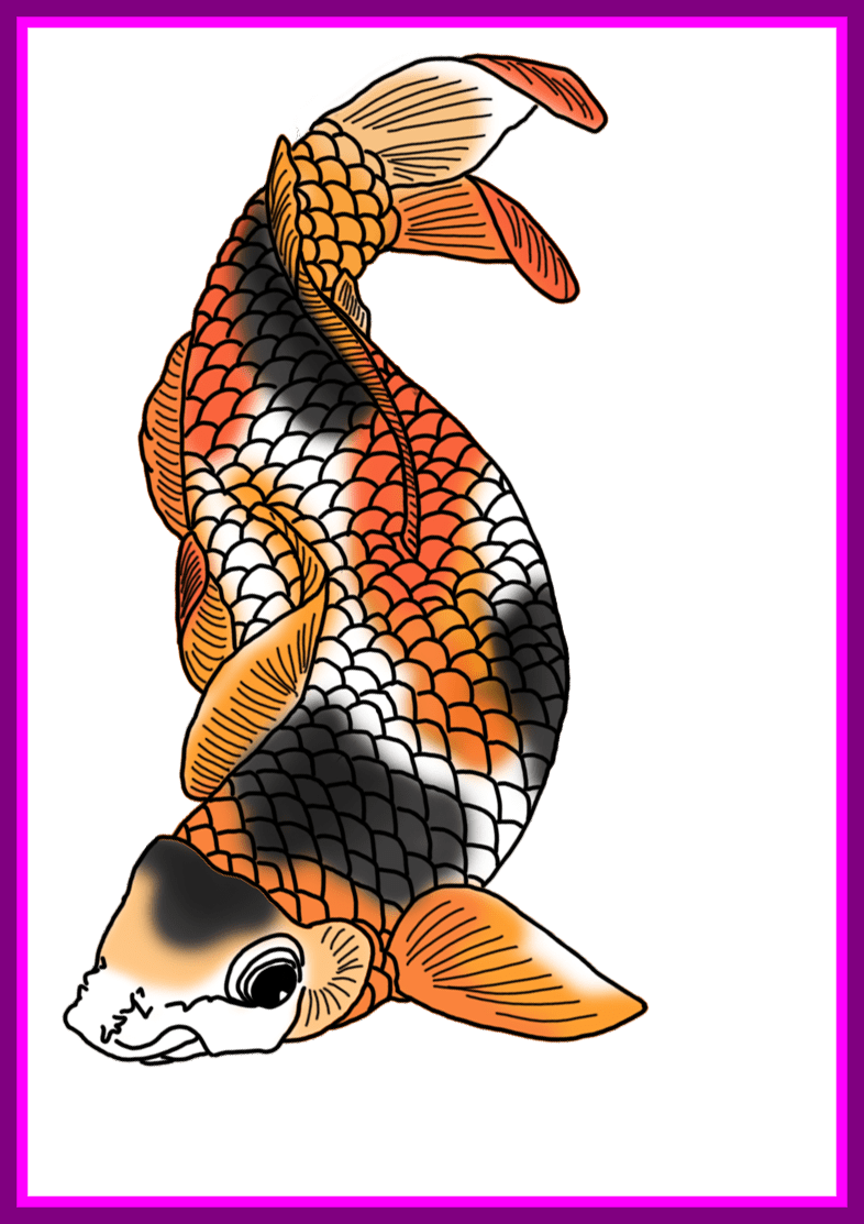 The Best Colorful Koi Fish Drawings Pict Of Png Clipart - Koi Fish Png (786x1113), Png Download