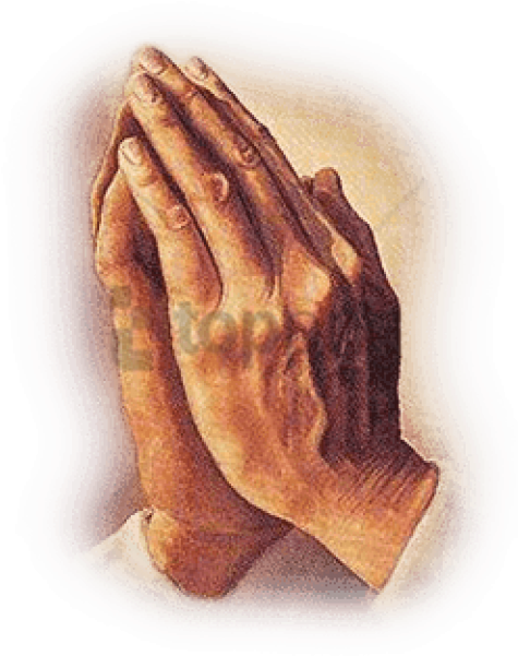 Free Png Download Hands Praying Vintage Png Images - Pray For The Victims (480x651), Png Download