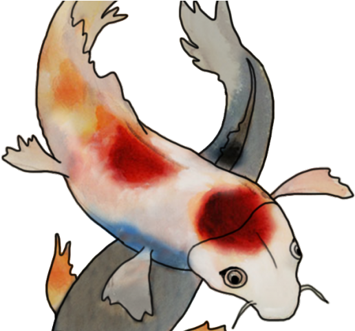 Koi Fish Clipart Cool - Cartoon (640x480), Png Download
