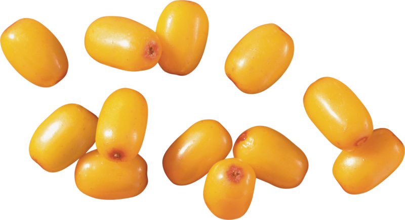 This Png File Is About Shrubs , Sea Buckthorn , Hippophae - Sea Buckthorn Png (800x436), Png Download