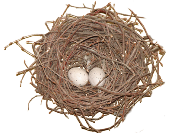 Birds Nest Transparent Background (640x480), Png Download