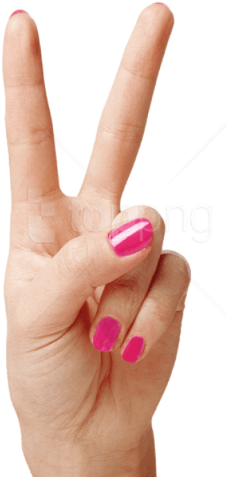 Free Png Download Hand Showing Two Fingers Clipart - Hand Showing 2 Fingers (480x728), Png Download