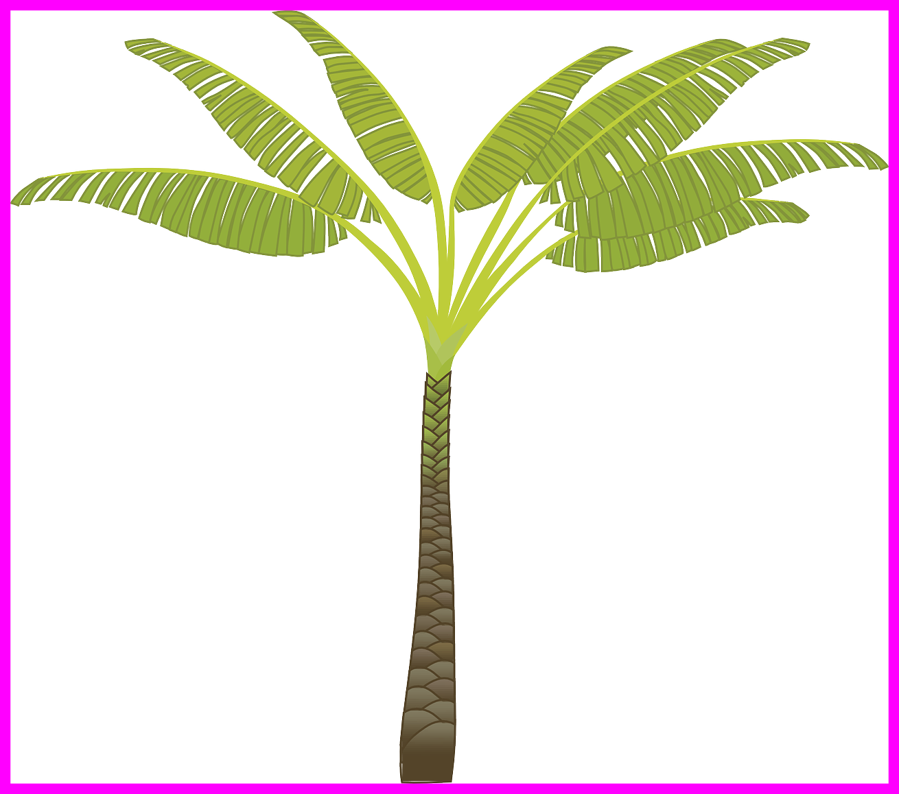 Stunning Island Palm Tree Leaves Plant Jungle Pa Pict - Palm Tree Clip Art (1310x1158), Png Download