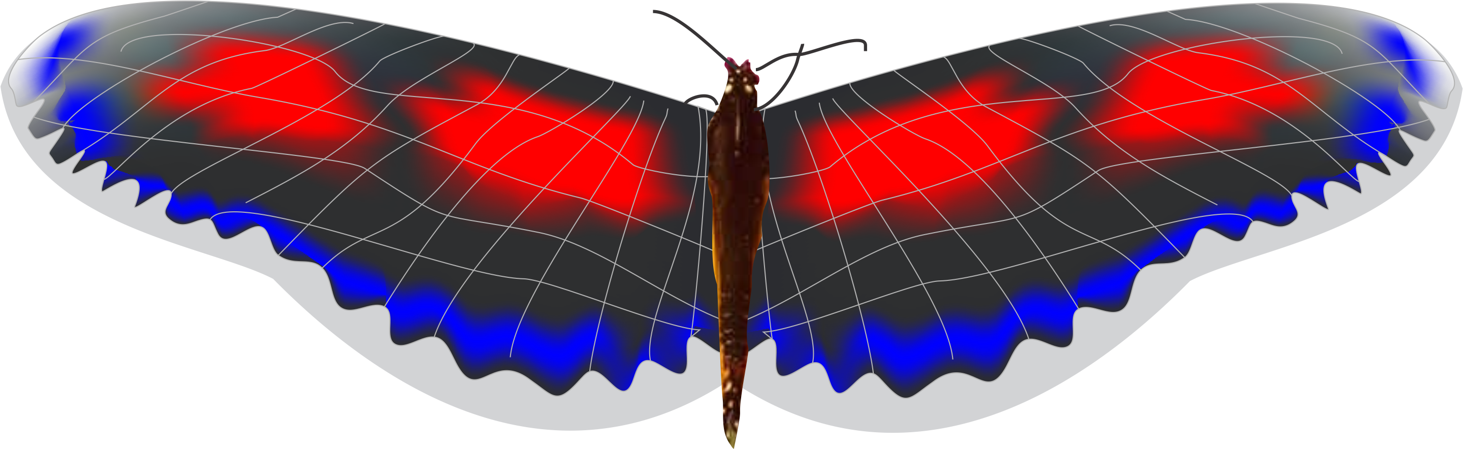 Mariposa 3 (2880x884), Png Download