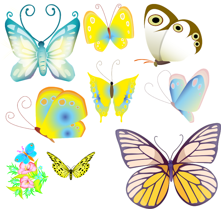 Lepidoptera (720x682), Png Download