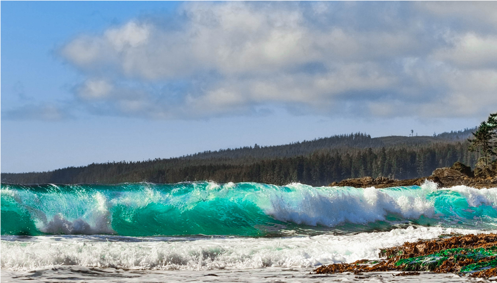 Score 50% - Wind Wave (1000x1000), Png Download