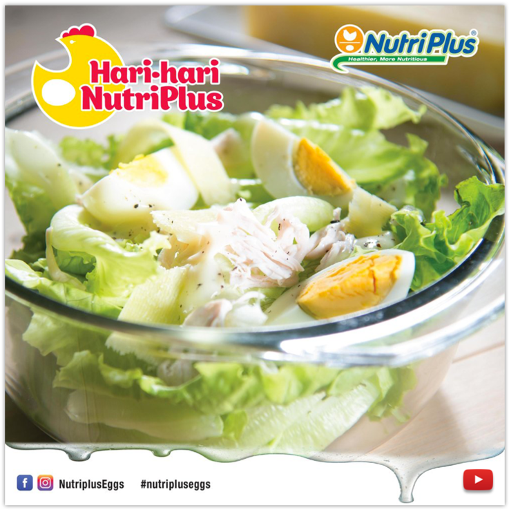 Chicken Salad (1000x750), Png Download
