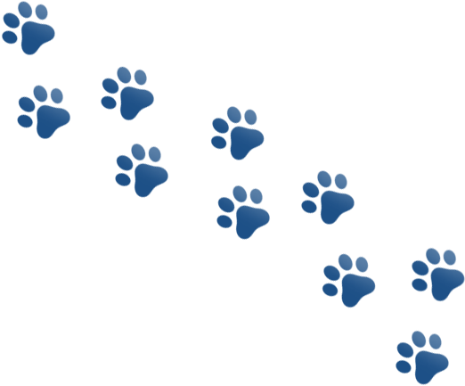 Clip Art (677x677), Png Download