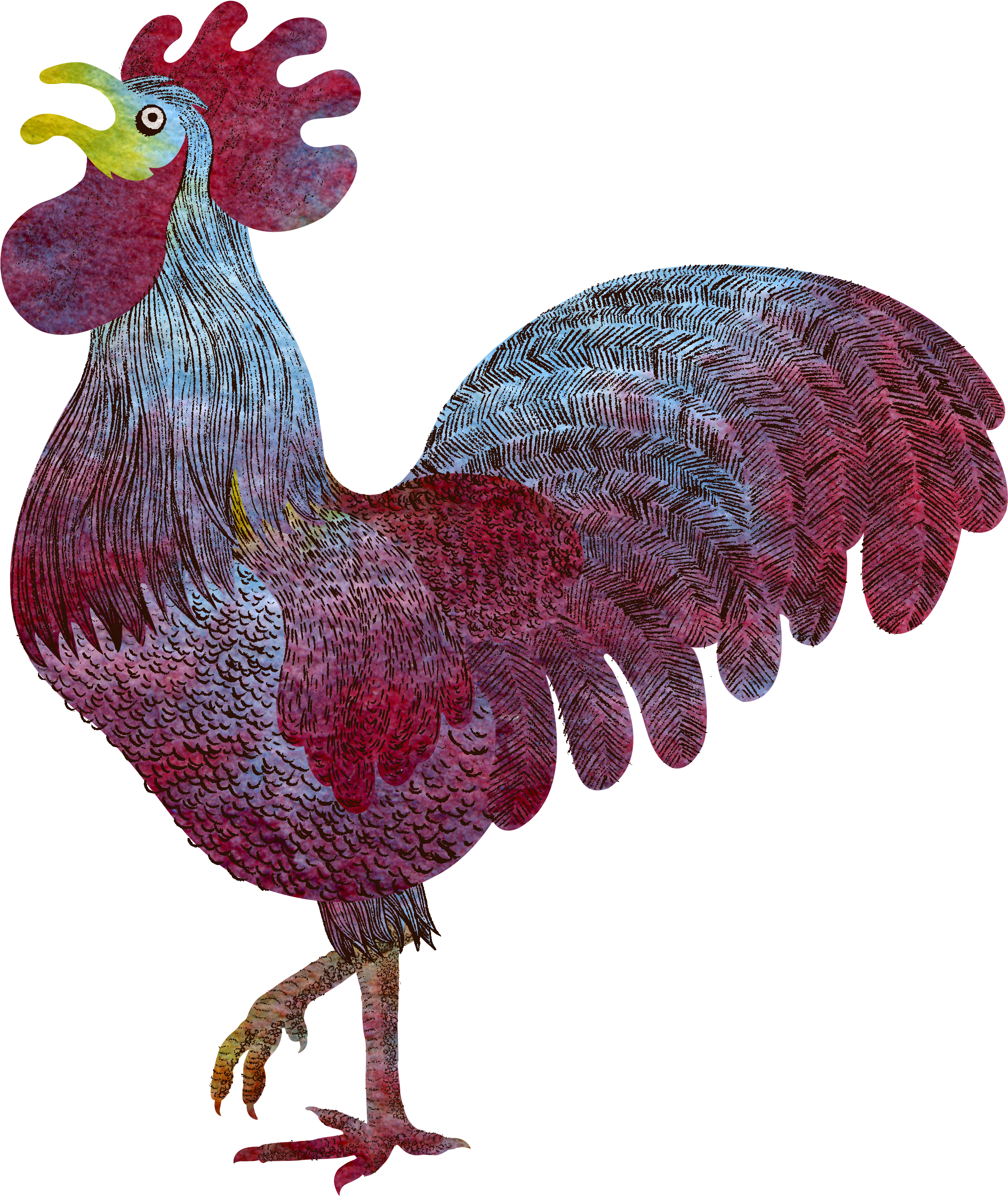Rooster (2424x3189), Png Download