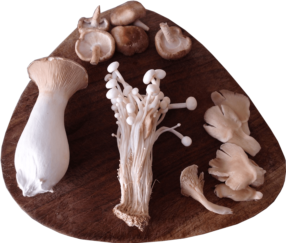 A Selection Of Sainsbury's Exotic Mushrooms Presented - Wood (1200x900), Png Download