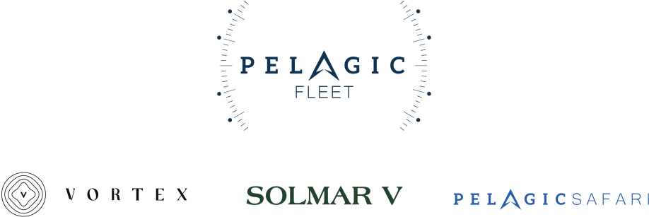 Pelagic Fleet - Parallel (1080x590), Png Download