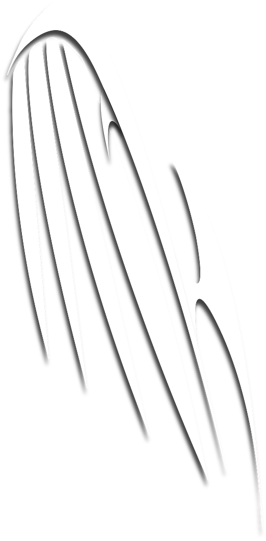 Scream Flight Xo Design - Monochrome (522x1060), Png Download