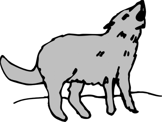 Png Coyote Cartoon (640x480), Png Download