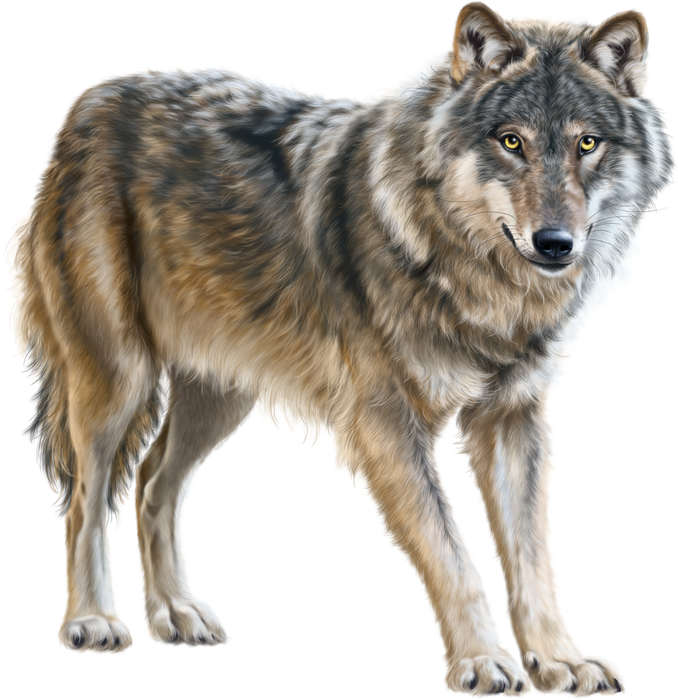Coyote Clipart Desert Biome - Wolf Clipart (1396x1441), Png Download