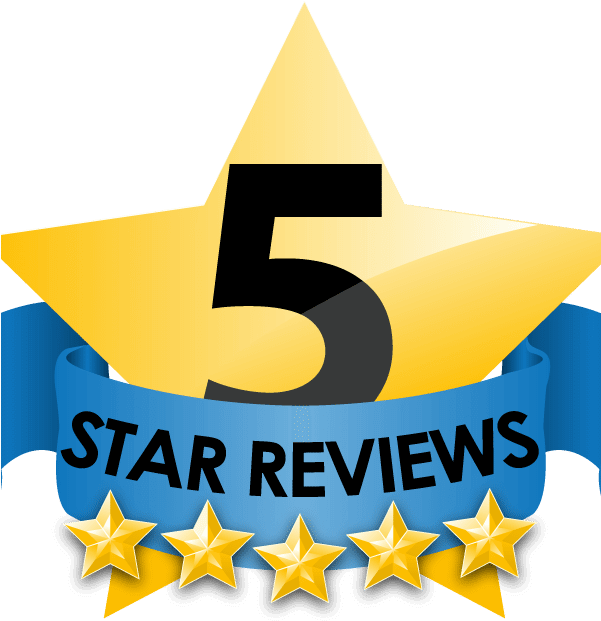 5starreviews 1 - New In Town Dvd Cover (600x708), Png Download