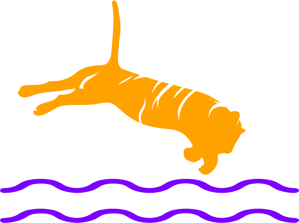 Clemson Club Swimming (1050x807), Png Download