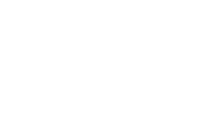 L R29 - Toronto Film Festival Logo White (1000x521), Png Download