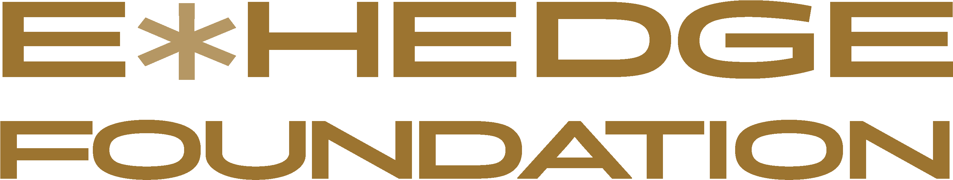 E*hedge Foundation (3176x707), Png Download