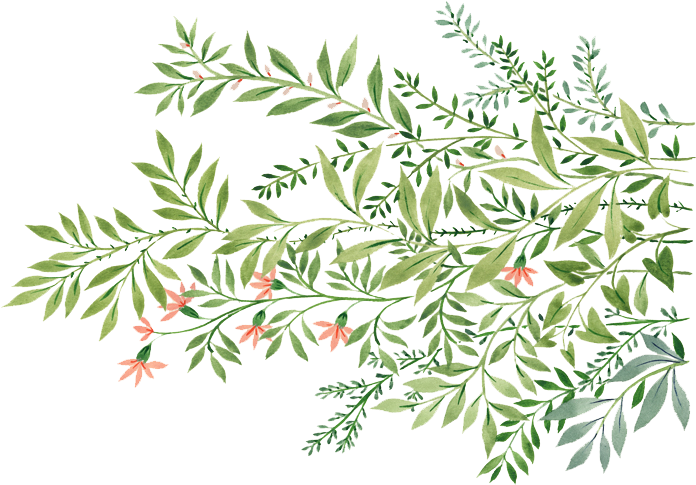 Design By Logo Koljòs - Illustration (800x560), Png Download