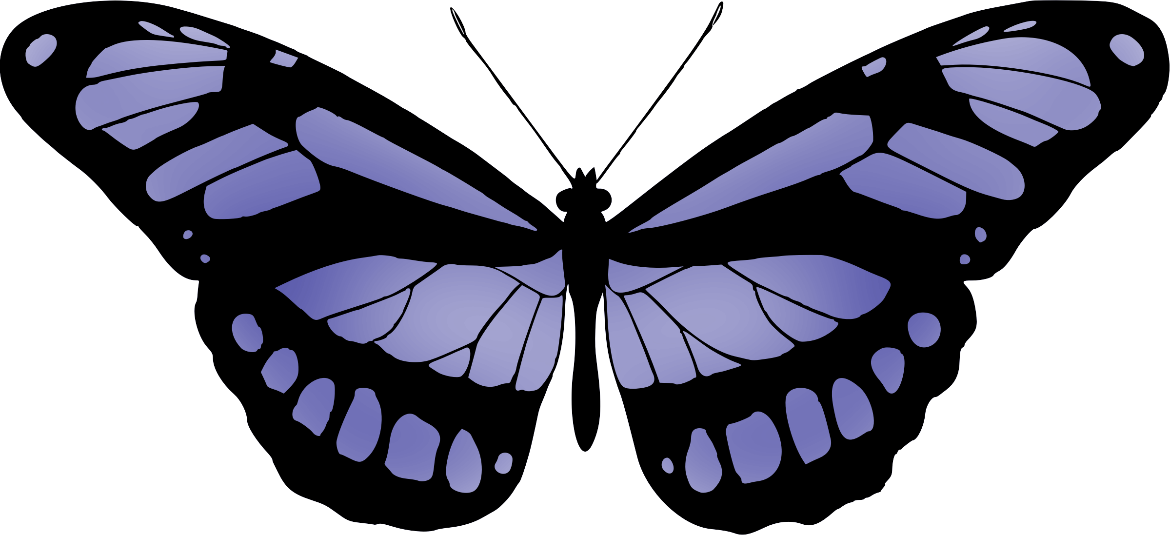 This Free Icons Png Design Of Butterfly 15 (2399x1097), Png Download