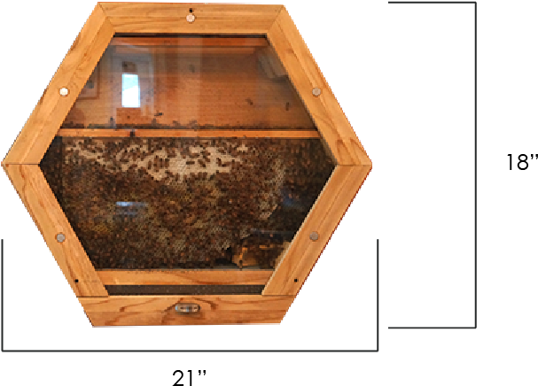 642 X 513 3 - Octagon Beehive (642x513), Png Download
