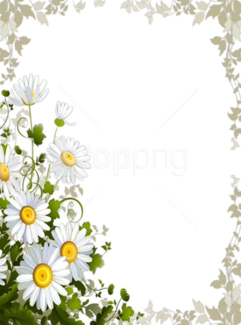 Free Png Transparent Frame With Daisies Png Images - Daisy Flower Frame (480x646), Png Download