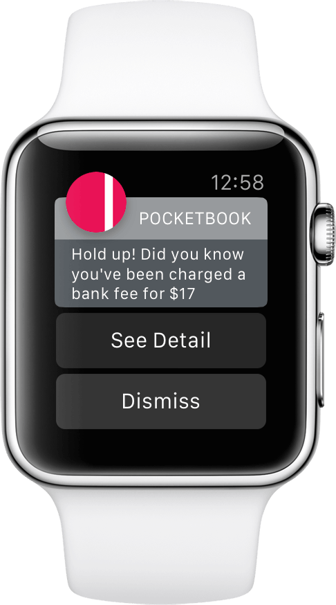 Know Your Money - American Airlines Apple Watch Notification (486x874), Png Download