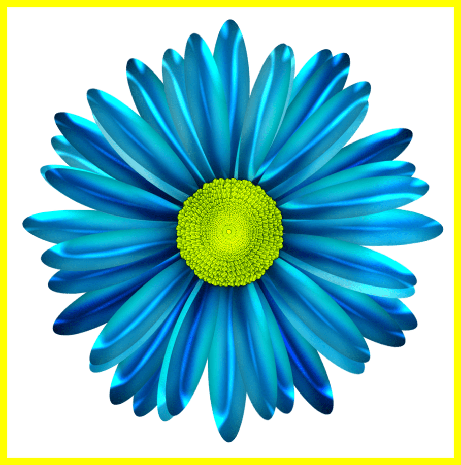 Daisies Clipart Gerber Daisy - Blue Daisy Flower Png (908x917), Png Download