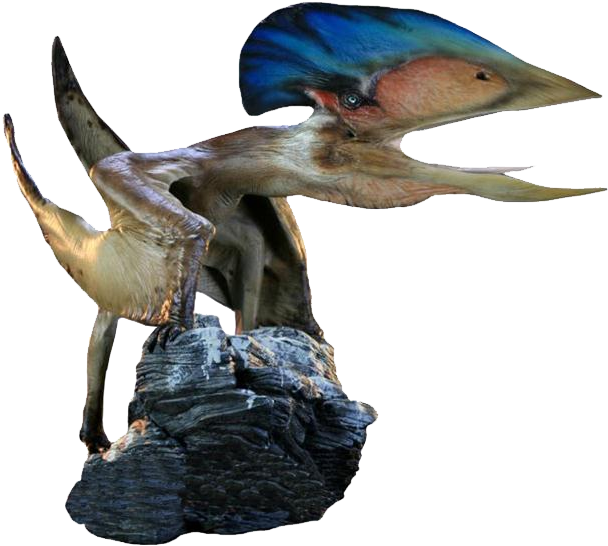 5398469 Orig - Tupuxuara Pterodactyl (677x647), Png Download