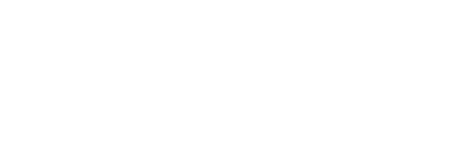 Susi Air Airlines Web Promo Cheap Flights And Tickets - Png Format Twitter Logo White (1000x310), Png Download