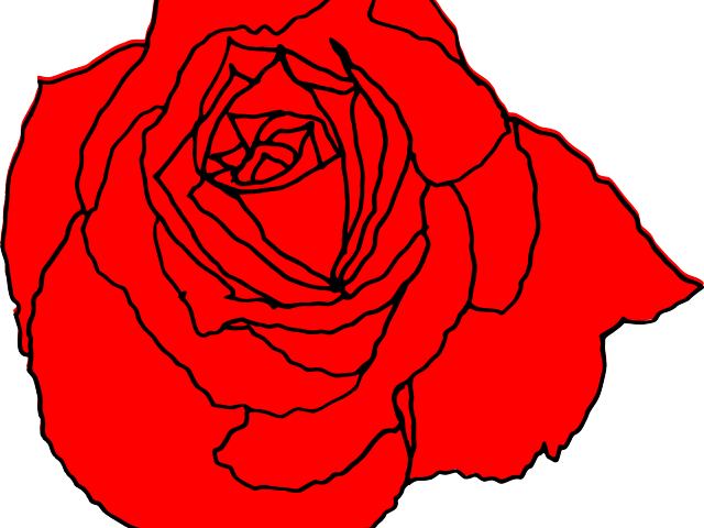 Blue Rose Clipart Red Rose Outline - Rose Simple Flower Design Drawing (640x480), Png Download