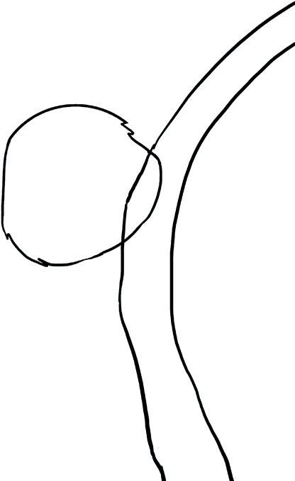 How To Draw A - Black And White Drawings Koala (680x678), Png Download