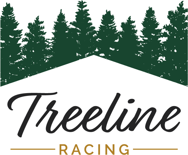 Christmas Tree (692x586), Png Download