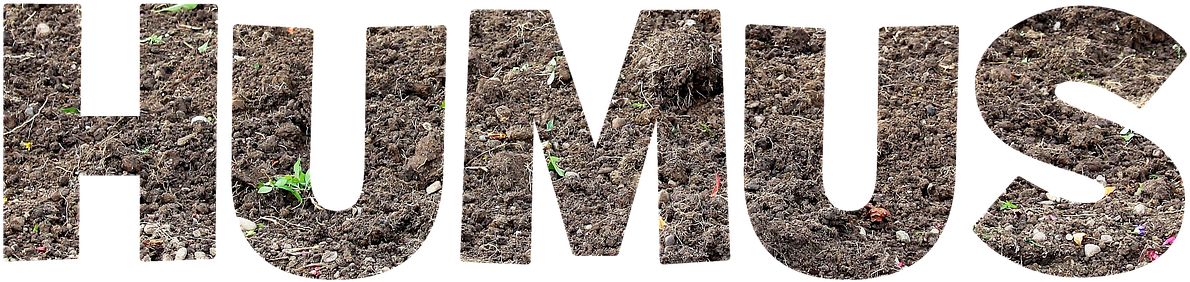 Calligraphy (1280x803), Png Download