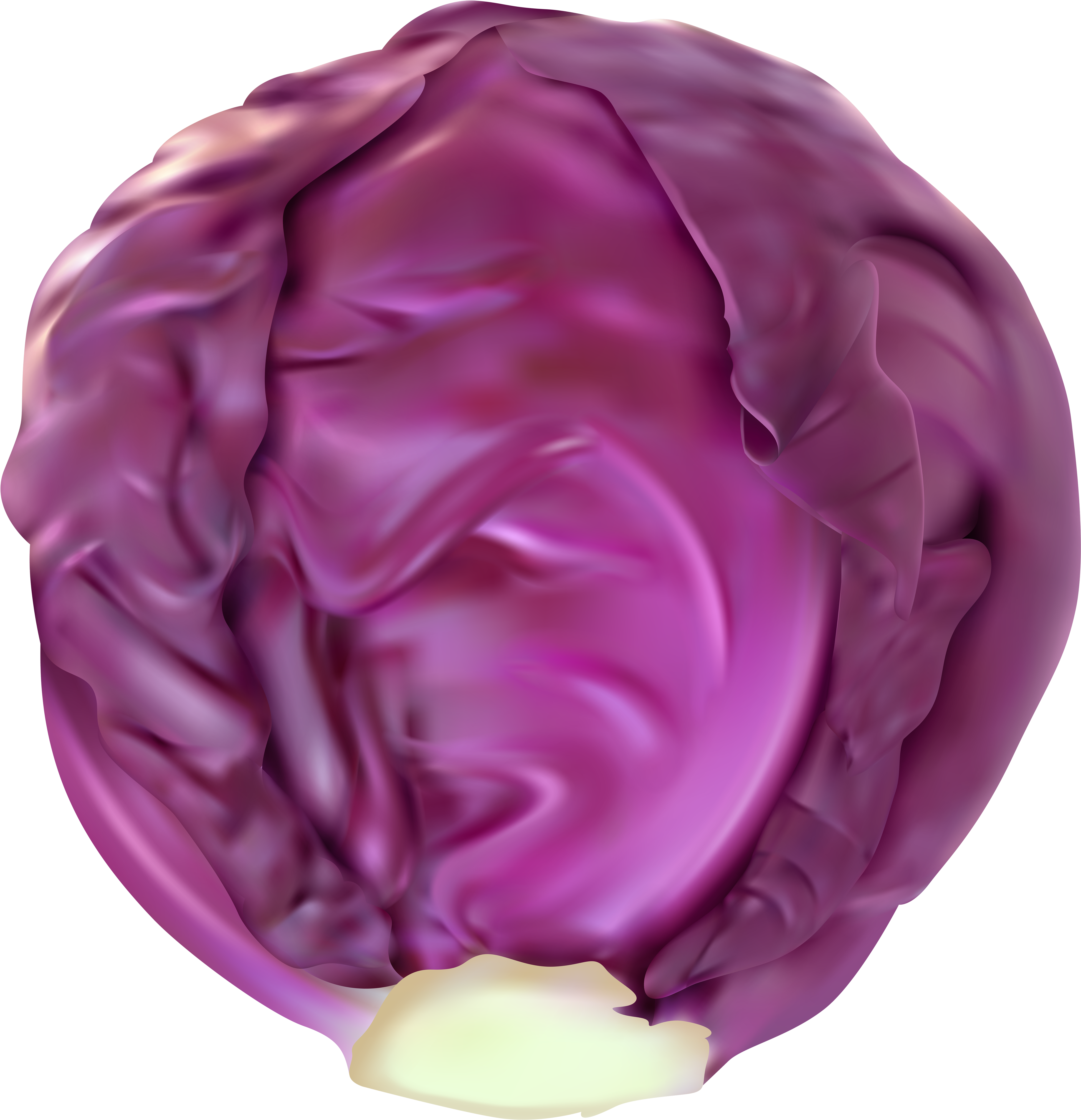 Red Cabbage Png Clip Art Image - Clipart Transparent Red Cabbage (4828x5000), Png Download