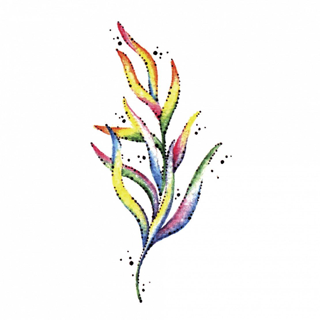 Seaweed - Floral Design (1110x1110), Png Download