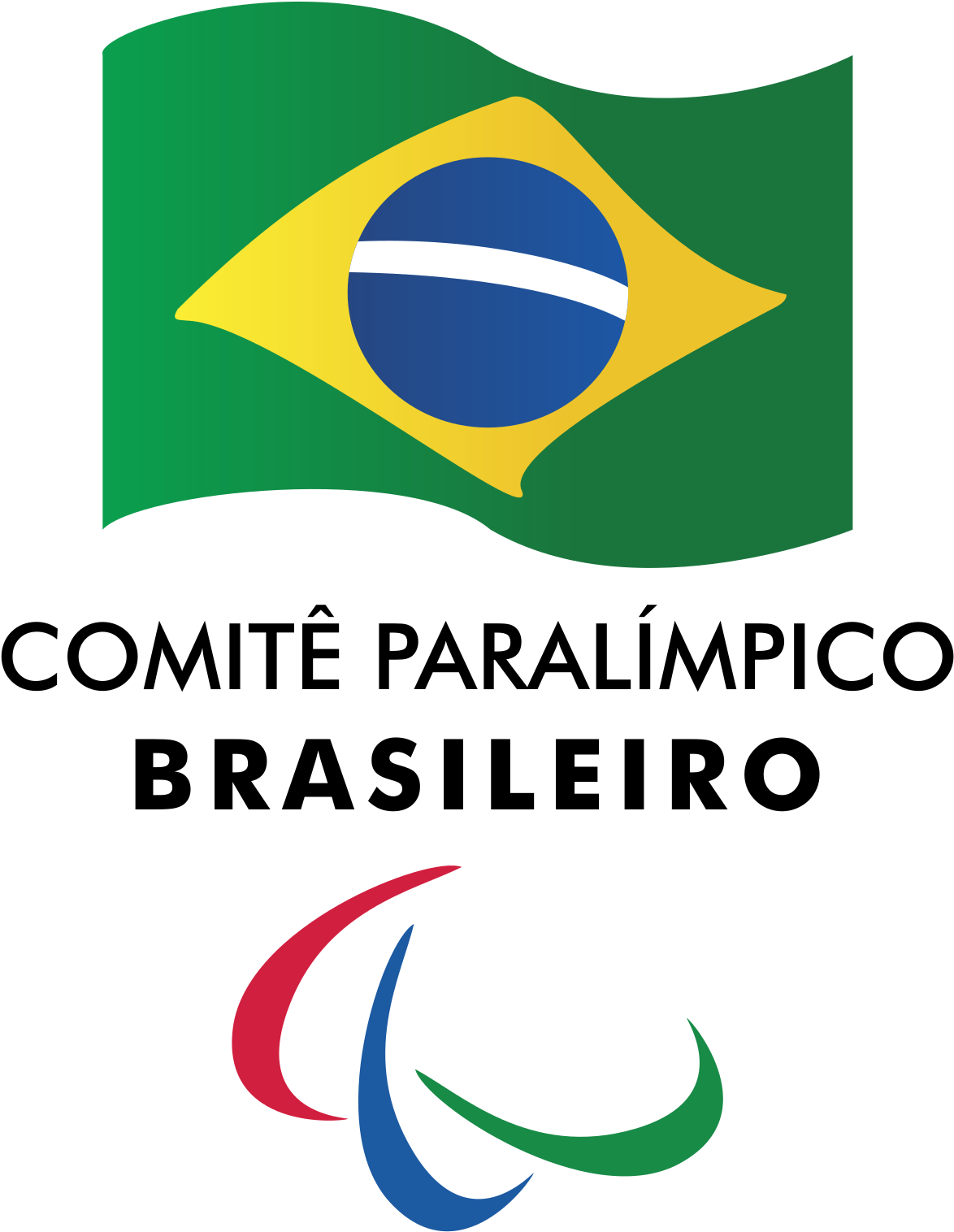 1200 X 1547 1 - Committee Paralympic (1200x1547), Png Download