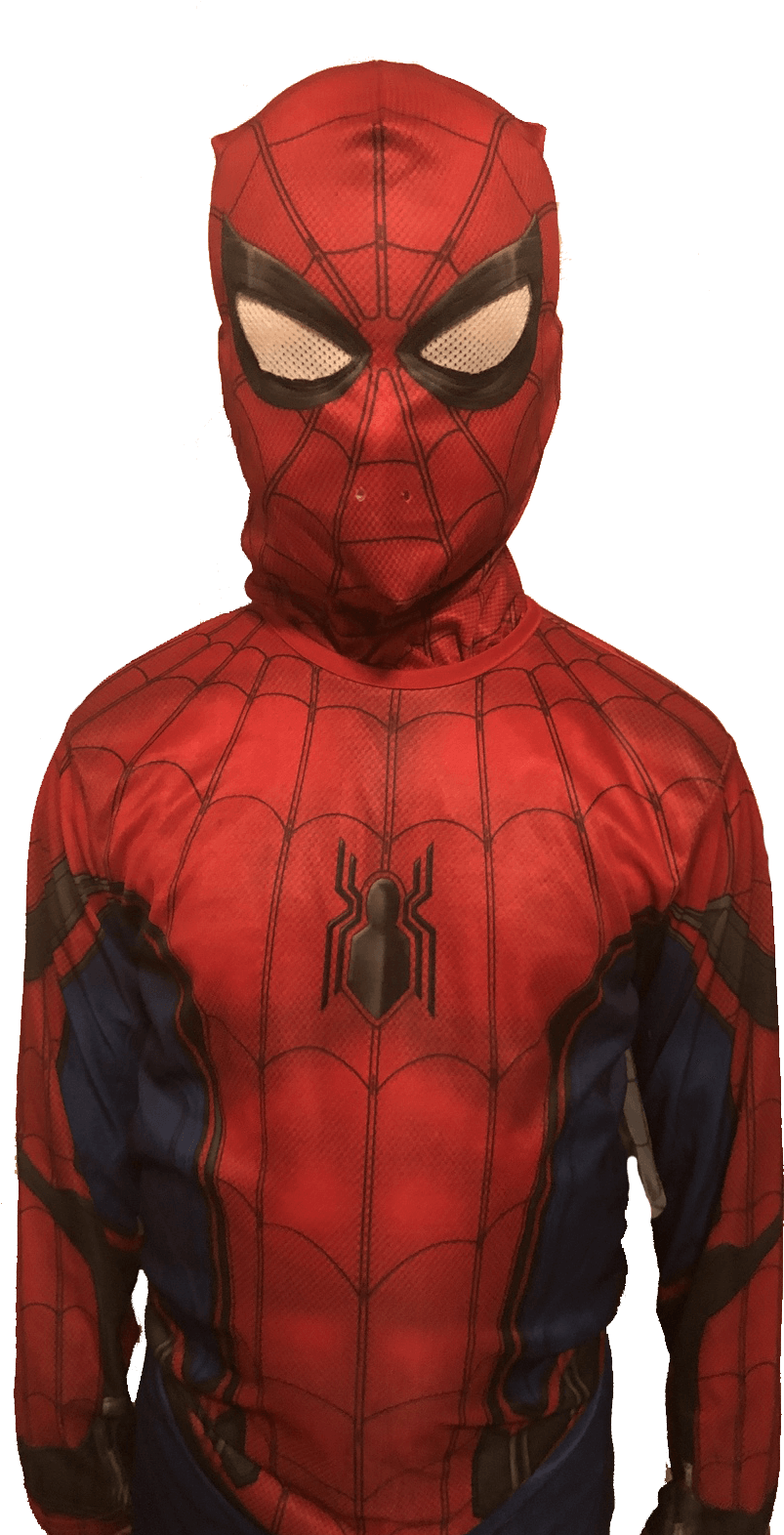 Spider-man (1200x1621), Png Download
