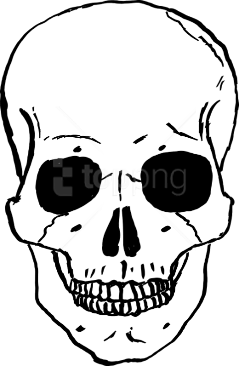 Free Png Skulls Png Images Transparent - Human Skull Cartoon (480x736), Png Download