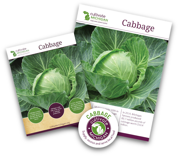 Gingered Cabbage Slaw - Collard Greens (800x800), Png Download