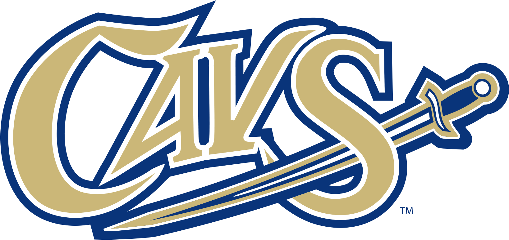 Graphic Design (1637x794), Png Download