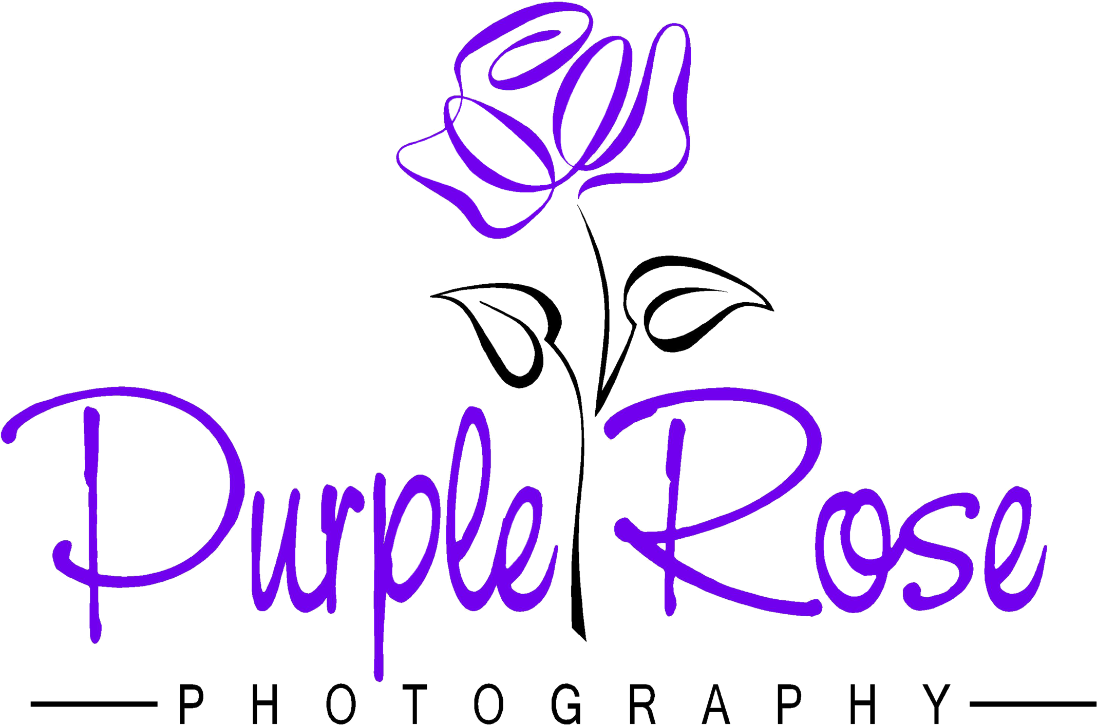 Purple Rose Png (2500x1724), Png Download