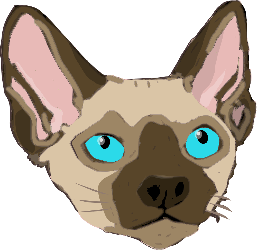 Devon Rex - Animal Grande Tamaño Orejas Grandes Y Orejas Grandes (1000x973), Png Download